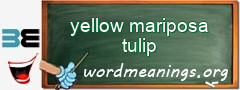 WordMeaning blackboard for yellow mariposa tulip